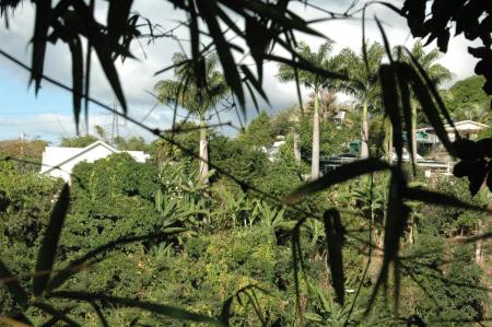 de l'autre côté de la ravine